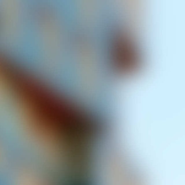 Central school library